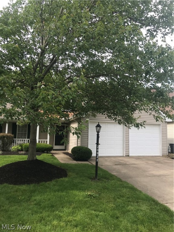 Springfield Commons - Residential