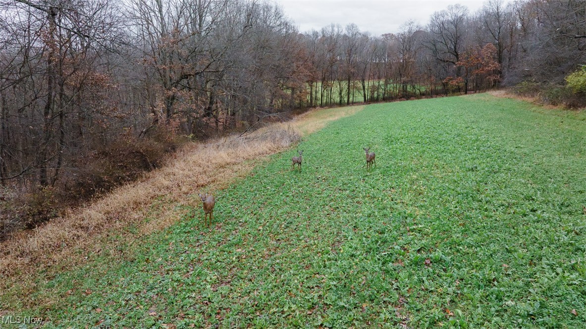 Township Road 112, Millersburg, Ohio image 3