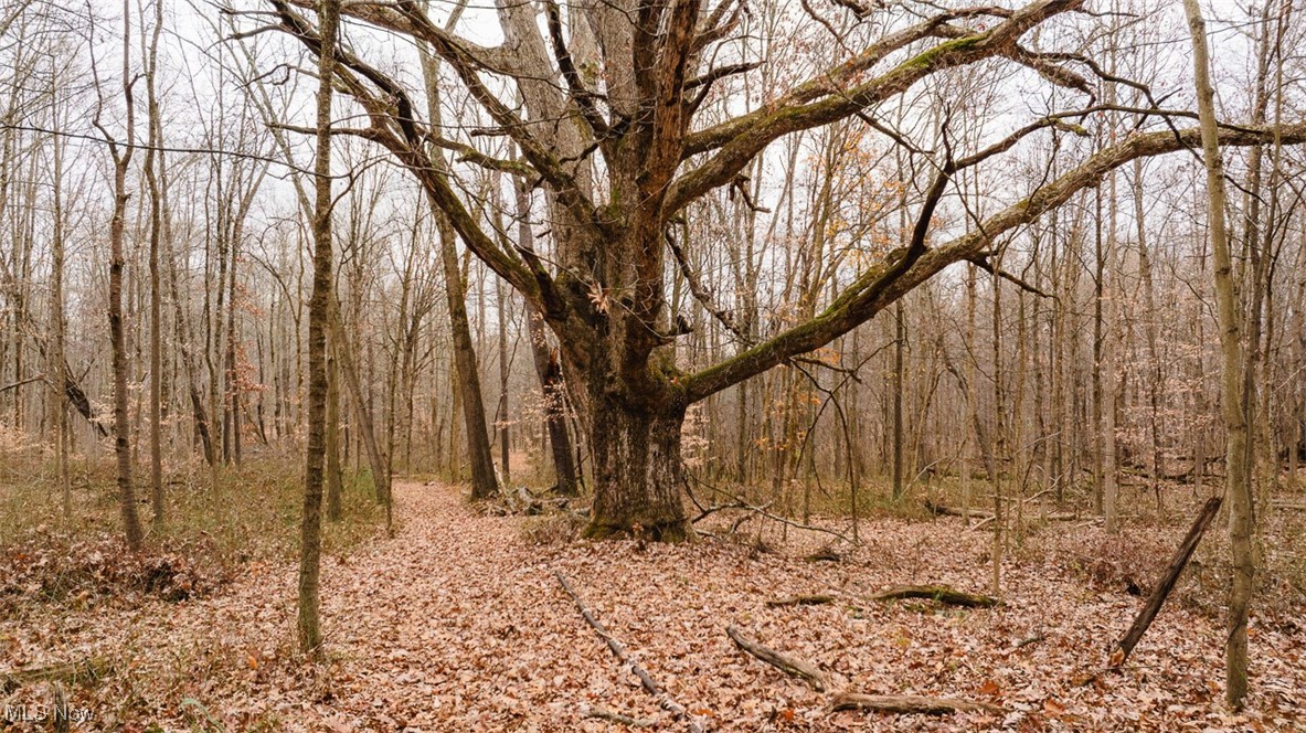 Township Road 112, Millersburg, Ohio image 10