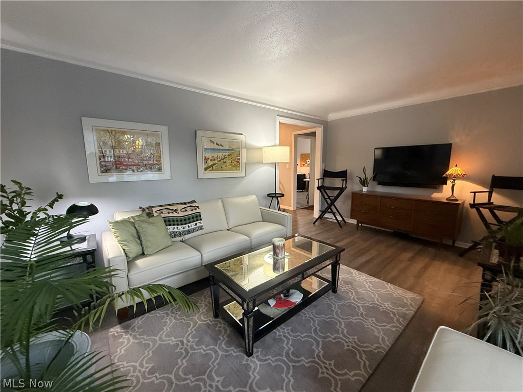 Terrace Park - Residential