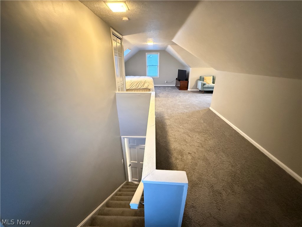 Terrace Park - Residential