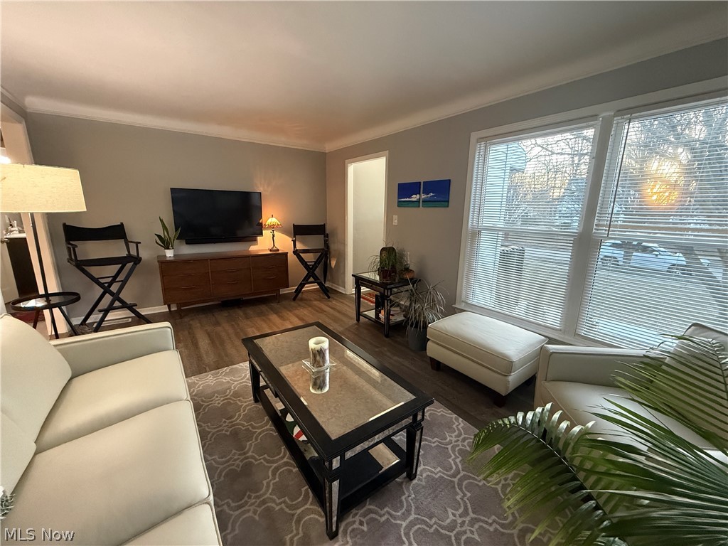 Terrace Park - Residential