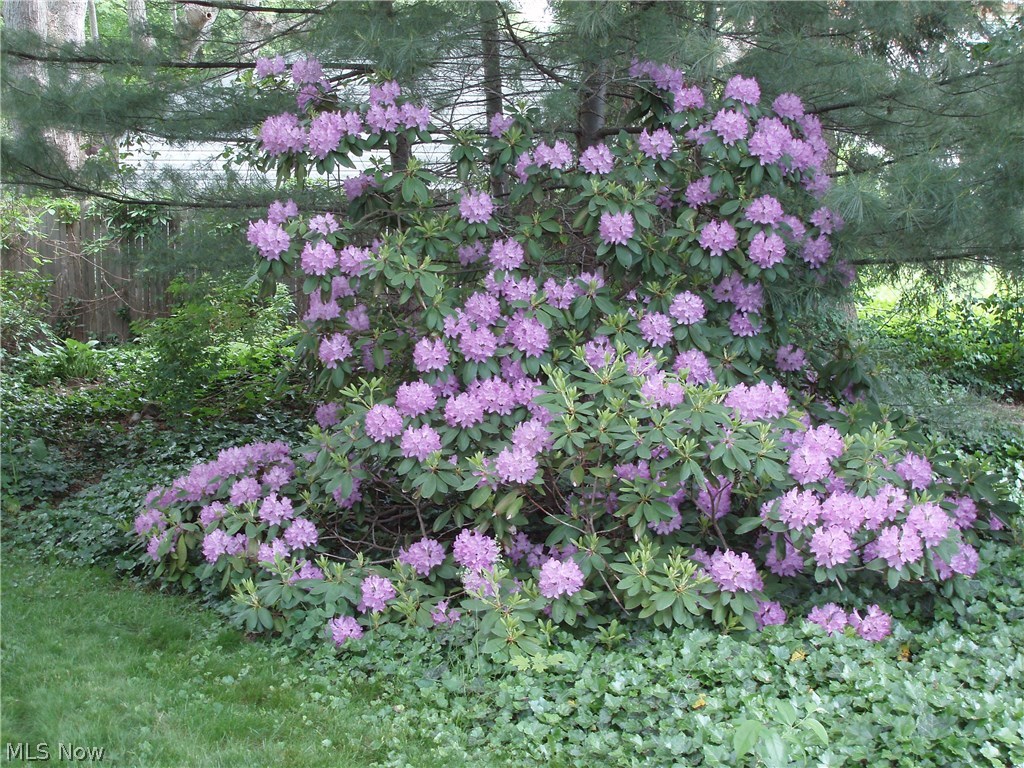 Longmere - Residential