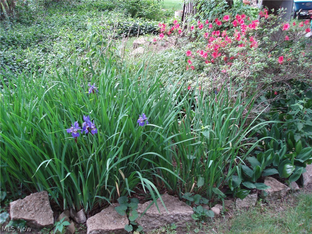 Longmere - Residential