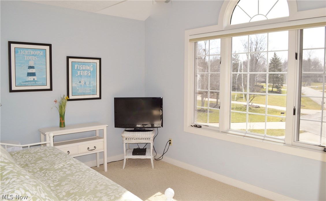 Woods Williamsburg - Residential