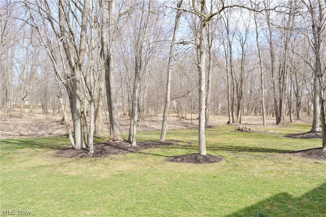 Woods Williamsburg - Residential