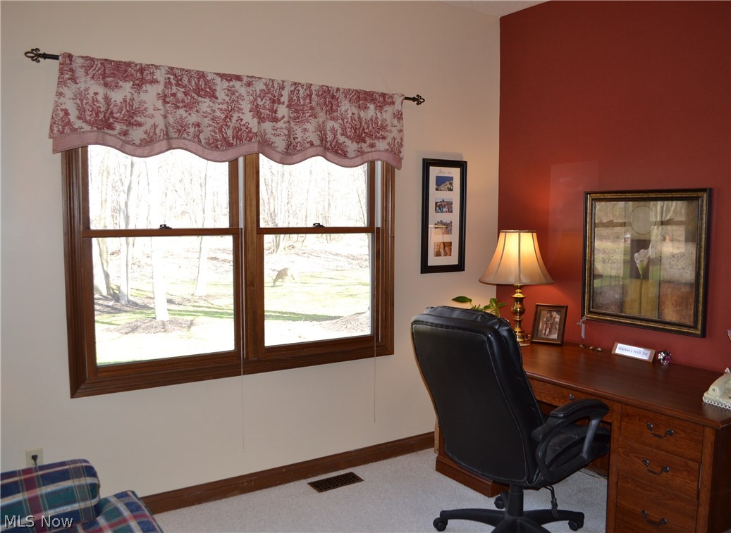 Woods Williamsburg - Residential