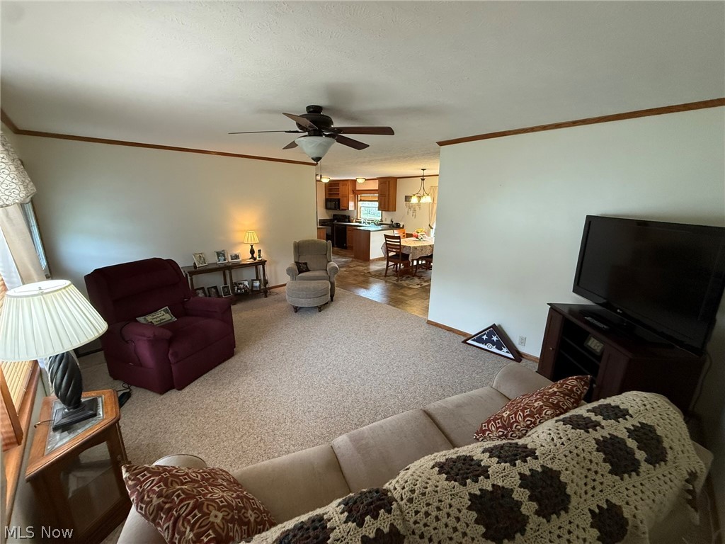 359 Saturn Drive