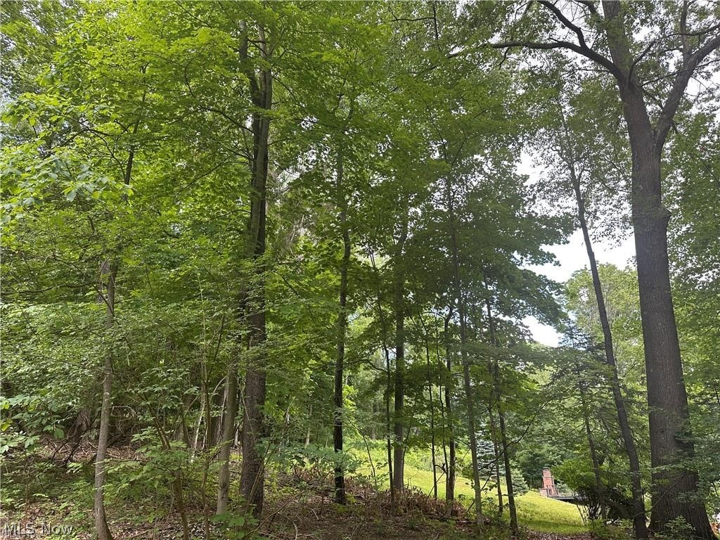 The Merriman Hills Re-Allotmen - Land