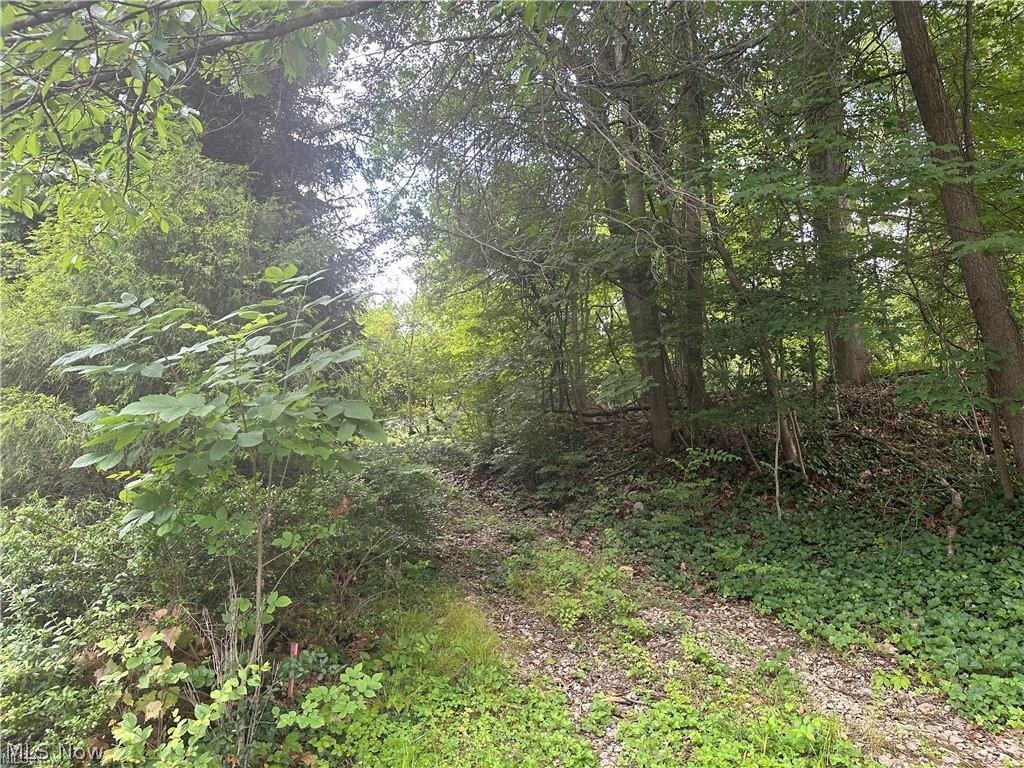 The Merriman Hills Re-Allotmen - Land