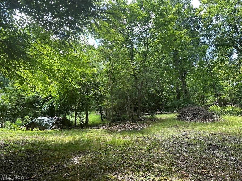 The Merriman Hills Re-Allotmen - Land