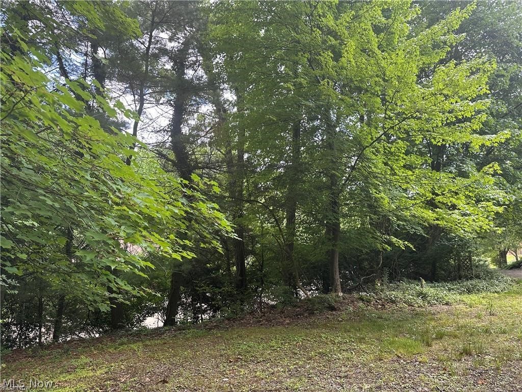 The Merriman Hills Re-Allotmen - Land