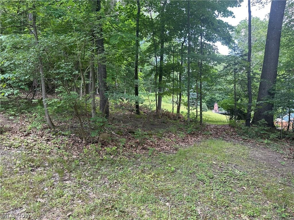 The Merriman Hills Re-Allotmen - Land