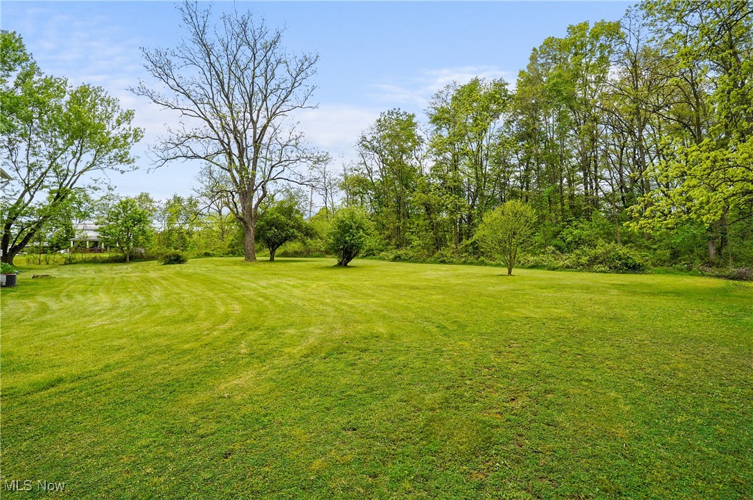 436 State Route 14, Deerfield, Ohio image 11