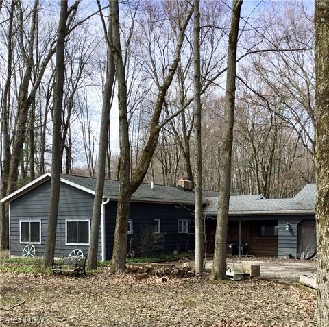 Homes For Sale - 11777 Abbott Road<br/> Hiram, OH 44234