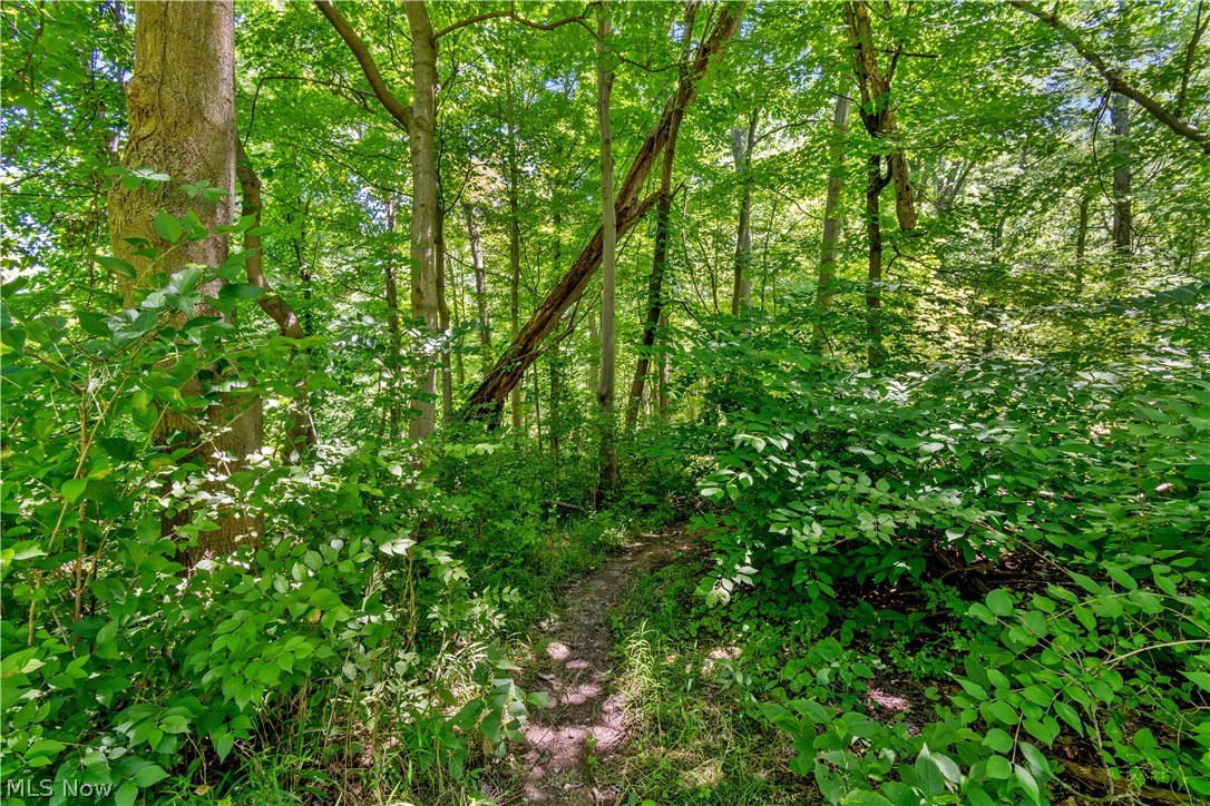 Olmsted - Residential