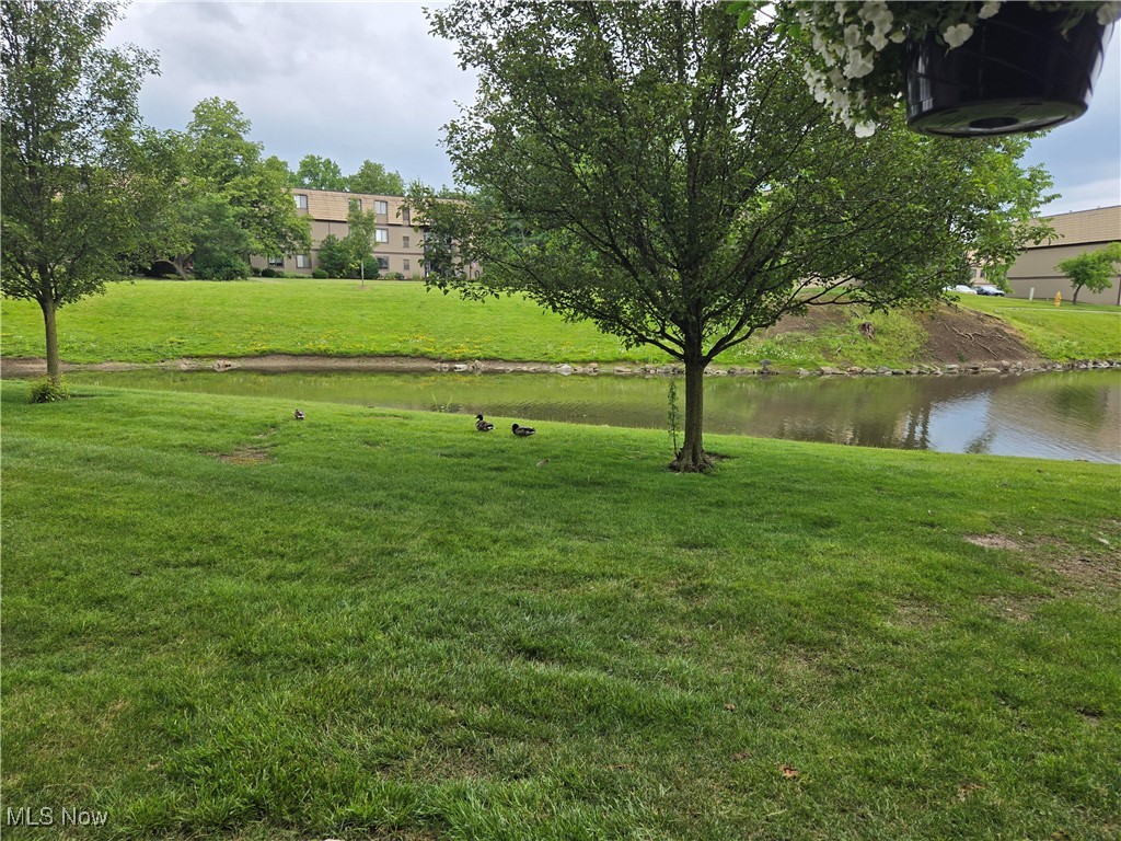 Sunrise Cove Condo - Residential