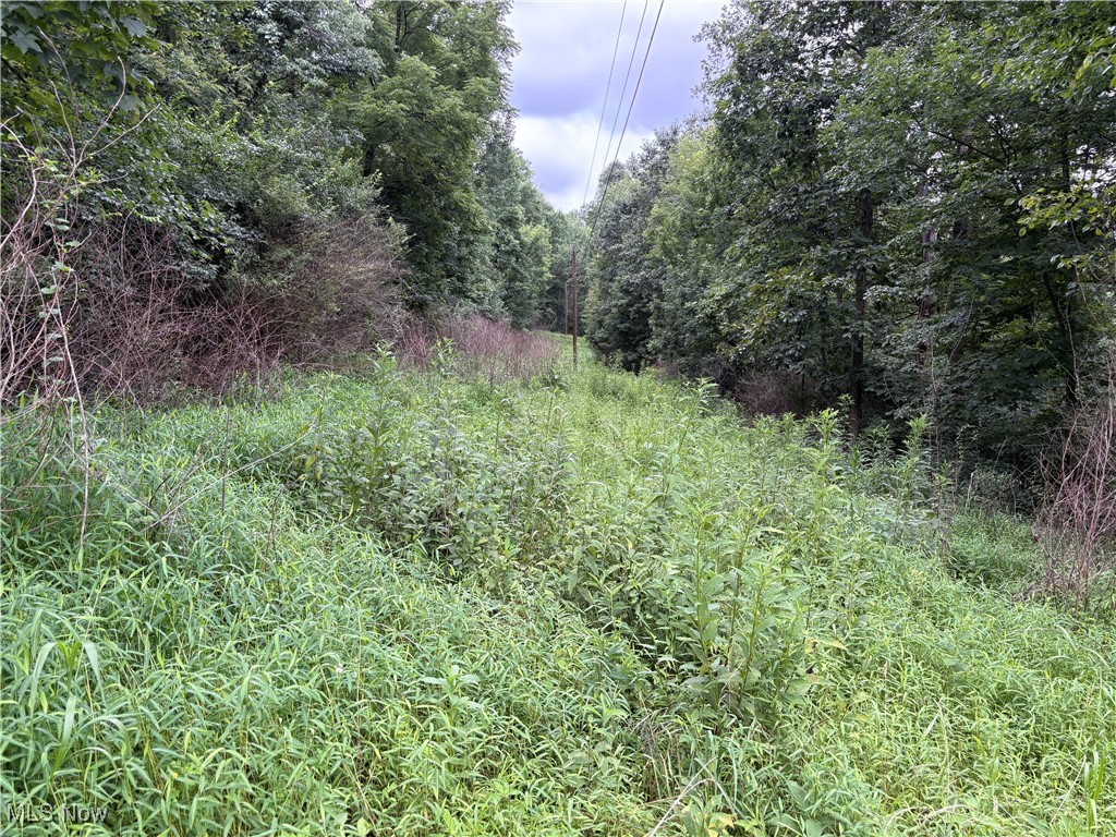 8.428 wooded acres For Sale in Muskingum County! over 1300' of road frontage with electric through the property and high speed internet avalable at road. County water to be installed by spring of 2026. Perfect size to build your private home in the forest, bring a camper or small cabin and have a weekend getaway, or still large enough for a food plot and multiple stand sites. Additonal land available! Call today to schedule a showing!