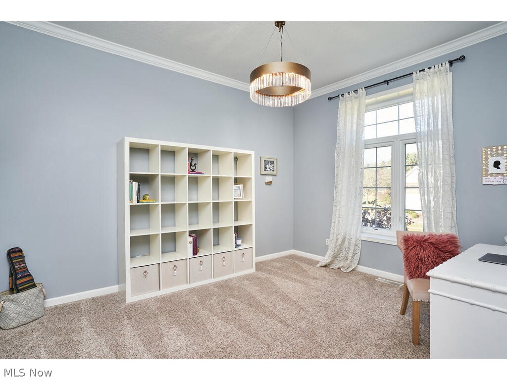 High Hampton - Residential