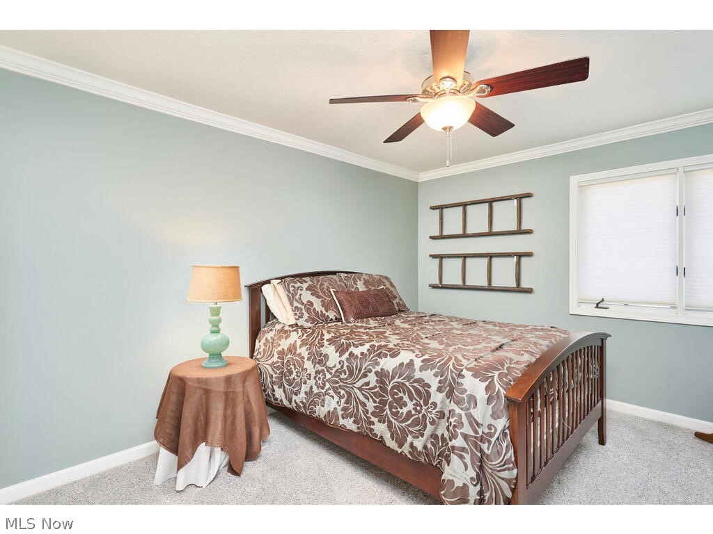 High Hampton - Residential