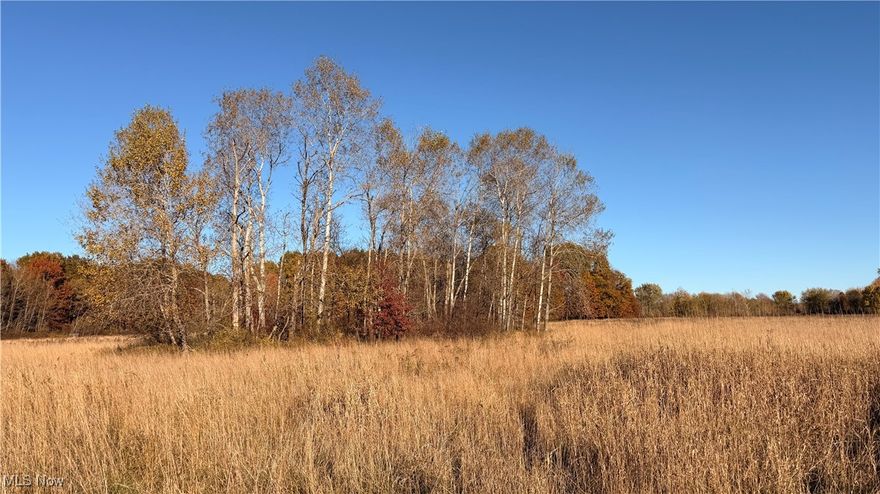 This 107-acre property offers a balanced mix of open hay fields, hardwood timber, thick bedding cover, and a scenic creek. The land provides both agricultural and recreational value, with productive soils in the open areas and diverse wildlife habitat throughout the wooded sections. The current owner has been making hay in the tillable fields, and the layout would allow continued agricultural use, expansion of food plots, or conversion to other crops. This tract would make an excellent hunting property, farm, or recreational retreat. Its size, location, and layout offer strong long-term potential for those seeking acreage in a rural setting. Properties in this area rarely combine open ground, timber, and water features in one contiguous parcel. Conveniently located near Dorset, the property is about 15 miles from Jefferson, 10 miles from Andover, and approximately 30 miles south of Ashtabula and Lake Erie. The surrounding area is known for its mix of agriculture, wildlife, and outdoor recreation, making this a desirable piece of land for a variety of uses.