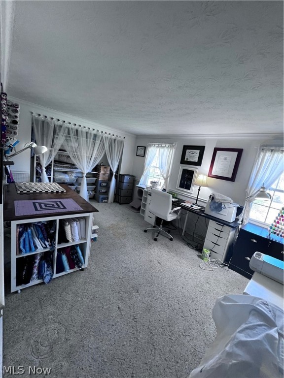 Plymouth Village - Residential