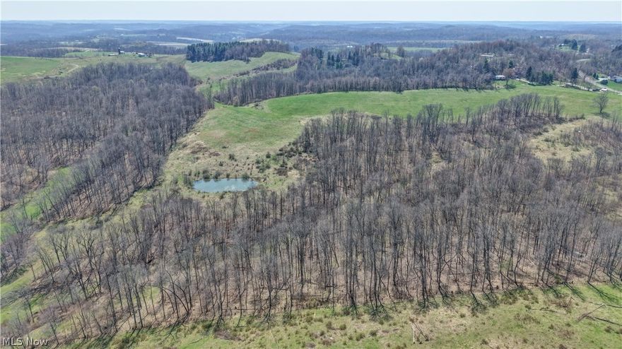 Auction Day is Saturday May 16th, 2026 at 11:00 AM. Parcel 7: 39 Acres – Open and wooded with creek and pond. Access via 60’ Private Road