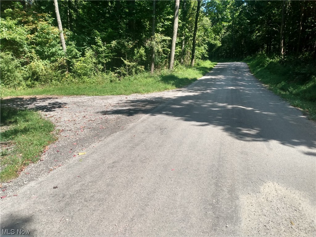 4.21 acres of vacant land with paved road access located 10 minutes Southeast of Carrollton, Ohio. This wooded property would make a great home-site for either a getaway cabin or primary residence. Property contains approximately 786 feet of road frontage on Pledge Road with electric on two adjacent properties. The woods contains stately oaks that have both curb appeal and merchantable value. Annual taxes are $11.00, in CAUV, but if sold separately from the adjacent parcel that is also for sale, this parcel would no longer be eligible for CAUV. All mineral rights, including gas/oil, to be reserved by seller. Need more land? An additional adjacent 66.988 acres is for sale on the south side of Pledge Road.