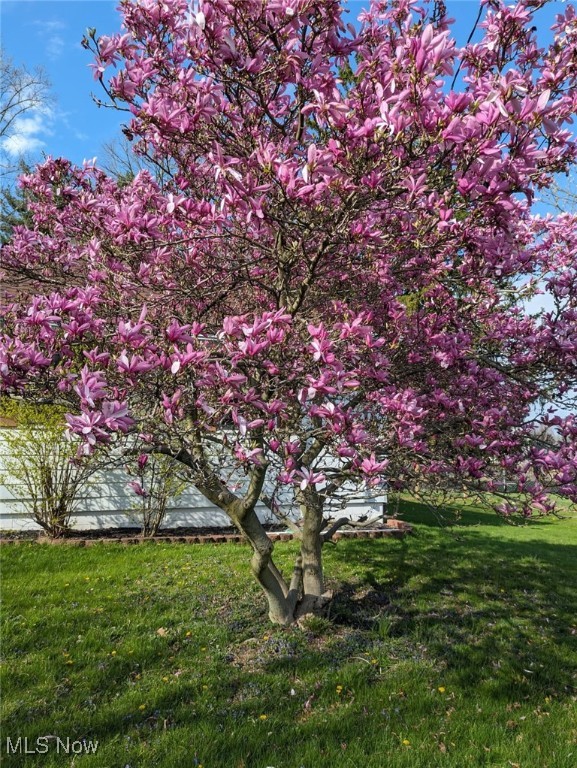 Montville - Residential