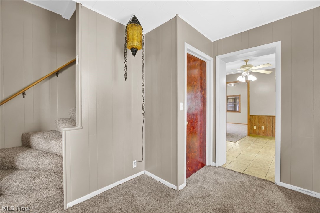 Elmwood - Residential