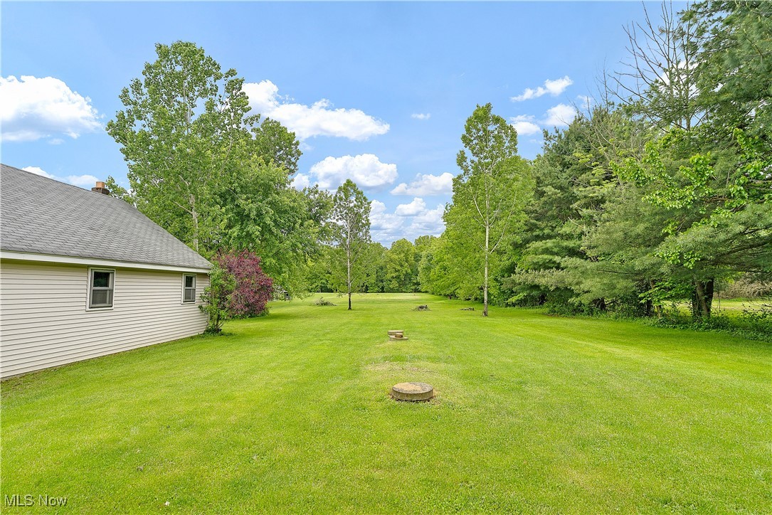 1925 N Lipkey Road, North Jackson, Ohio image 43