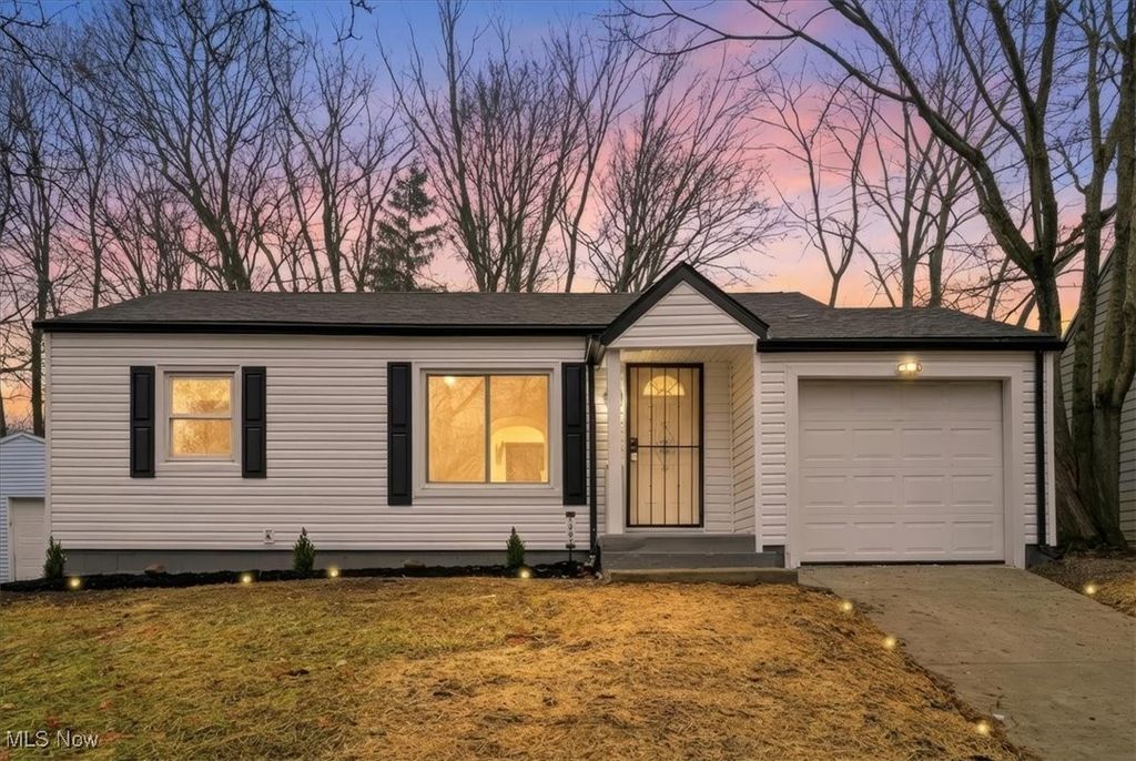 Photo of 1307 Orlando Avenue, Akron, OH 44320 (MLS # 5178697)