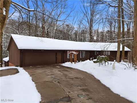 14759 Hillbrook Lane N Chagrin Falls OH 44022