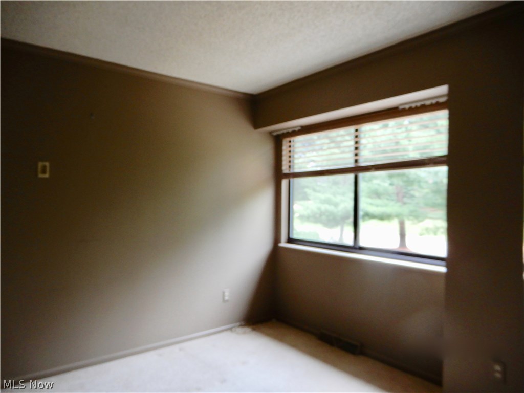 Hampton Woods - Residential