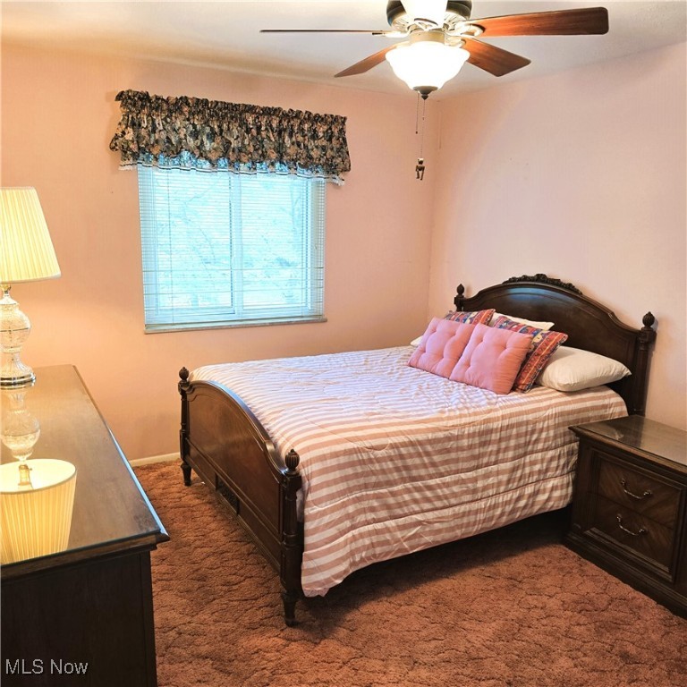 6462 State Road #16, Parma, Ohio image 12