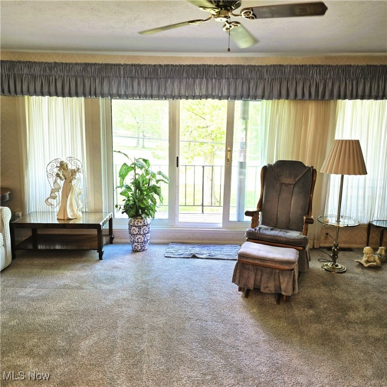 6462 State Road #16, Parma, Ohio image 9