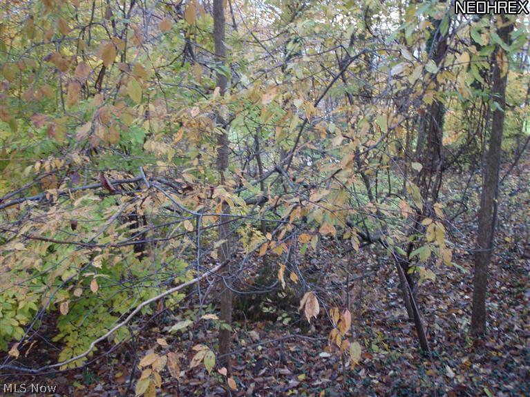 Twin Lakes - Residential Lease