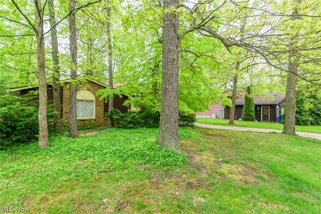 Valley Forest - Residential