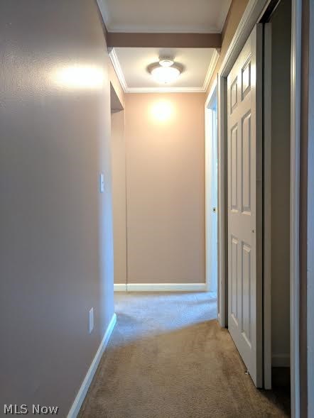 Williamsburg Court Condo - Residential Lease