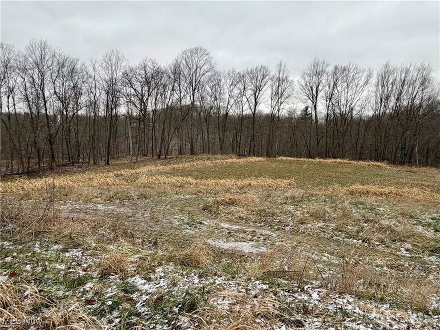 Discover the perfect blend of open space and wooded privacy with this beautiful 9-acre property located in the highly desirable Franklin Local School District. Comprised of two parcels, this land offers approximately 1.75 acres of cleared ground, including a cleared building site ideal for your future home or weekend retreat. Soil samples have already been completed, helping streamline your building plans. The remaining acreage is nicely wooded and rich with wildlife, making it an excellent property for deer and turkey hunting. A small pond has been started to attract wildlife, and the woods feature valuable timber including walnut, white oak, red oak, and chestnut trees, offering potential future income if timbered. This corner lot boasts extensive road frontage. A partial driveway has already been started, and electric is available at the road. Even better—all mineral rights owned will transfer with the property. Whether you’re looking to build, hunt, invest, or simply enjoy nature, this versatile piece of land offers endless possibilities in a fantastic location.