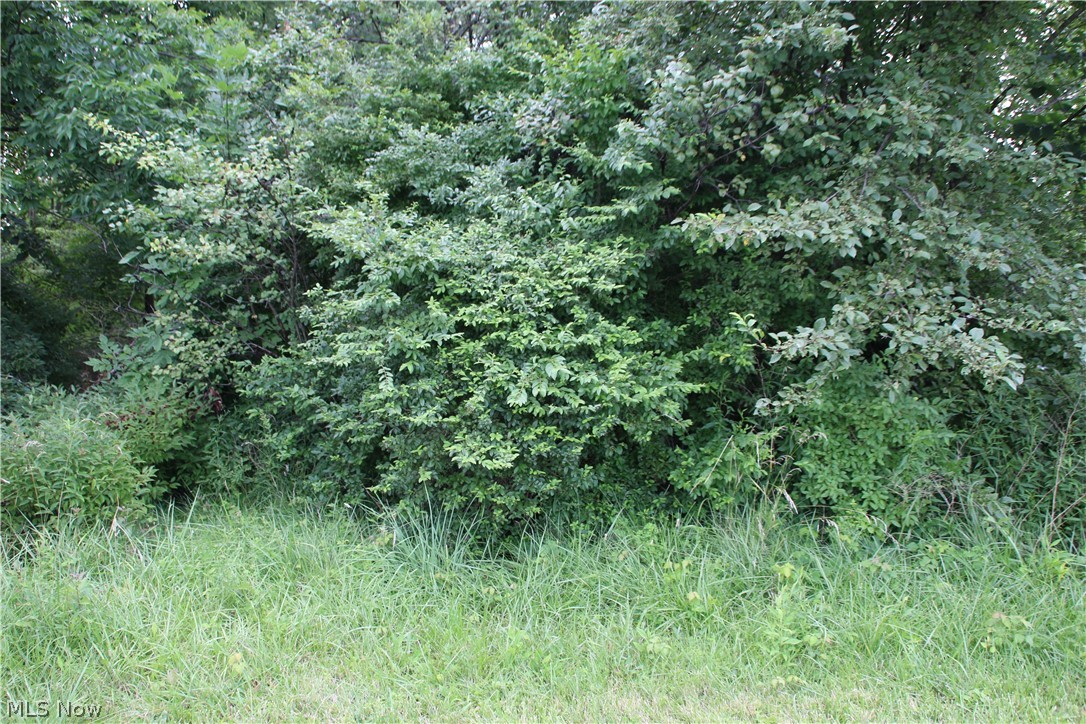 Twinsburg Heights - Land