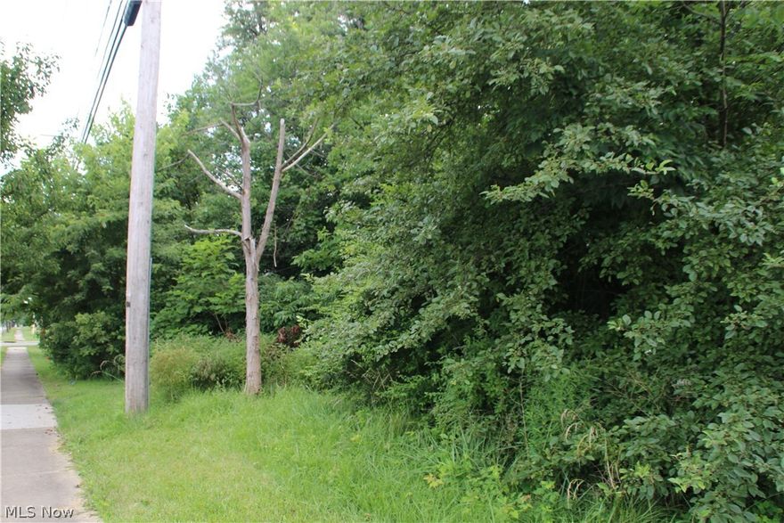 Three Flat Lots available at $15,000 each.  Or purchase as one large lot for a great home with land.  Energetic seller willing to negotiate! Great for building or investment opportunity! The wooded lot is flat, all utilities are at the street.  You can start building right away. 125 x 120 lot if you purchase all three! Convenient location to shopping, freeways, and restaurants. Park & Playground in subdivision. Twinsburg Schools Rated Excellent!