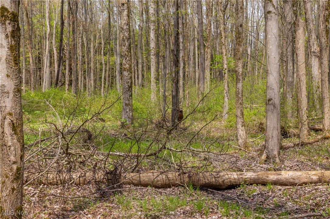 Crosby Creek Road, Rome, Ohio image 6