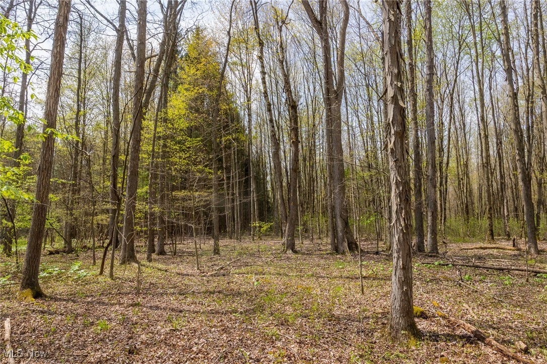 Crosby Creek Road, Rome, Ohio image 7