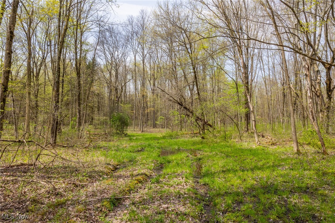 Crosby Creek Road, Rome, Ohio image 5