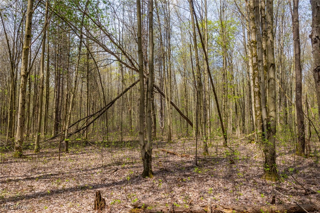 Crosby Creek Road, Rome, Ohio image 15