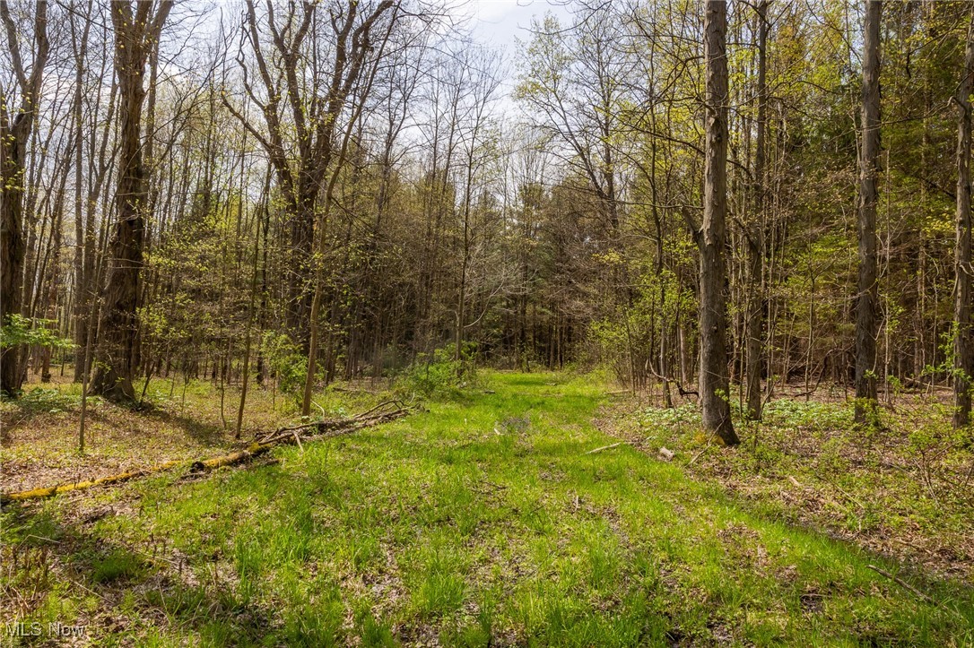 Crosby Creek Road, Rome, Ohio image 11