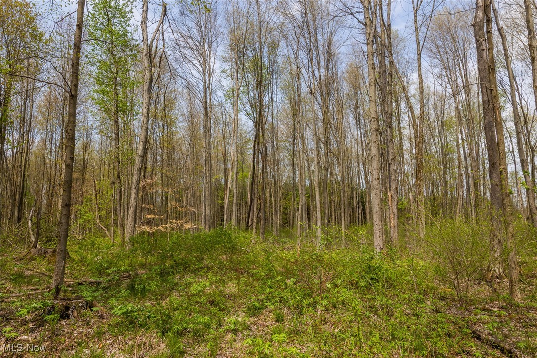 Crosby Creek Road, Rome, Ohio image 9