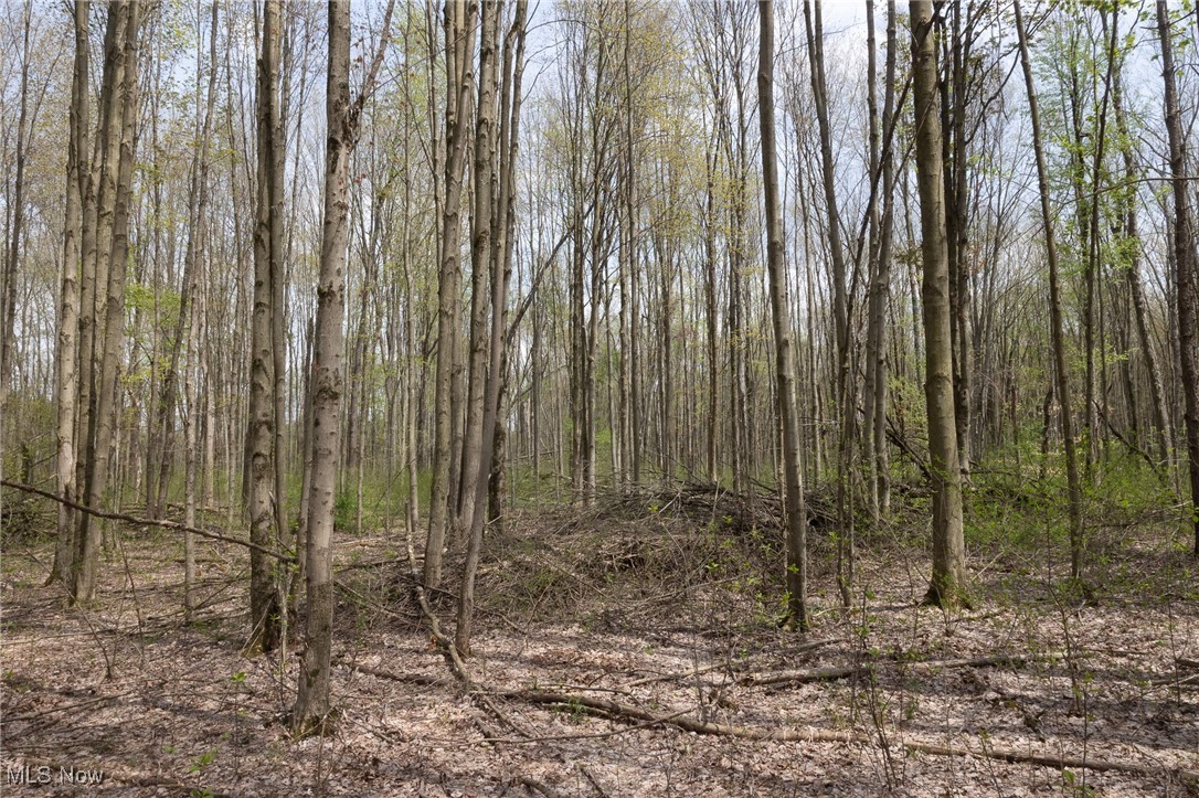 Crosby Creek Road, Rome, Ohio image 18