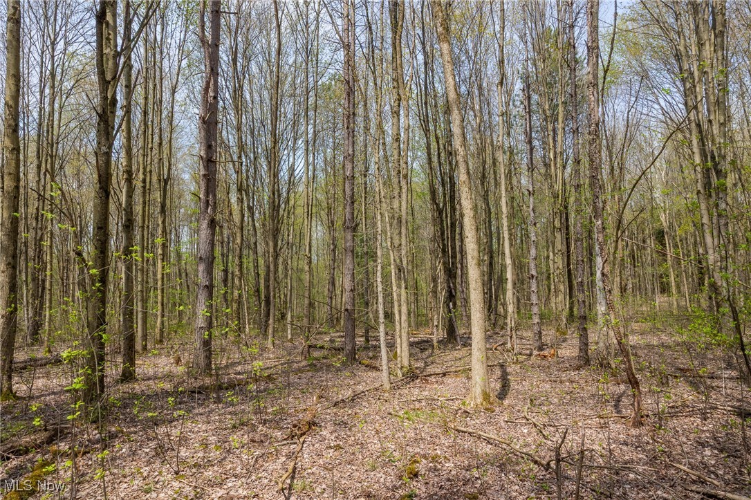 Crosby Creek Road, Rome, Ohio image 16